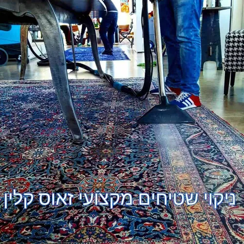 ניקוי שטיח פרסי בקיטור